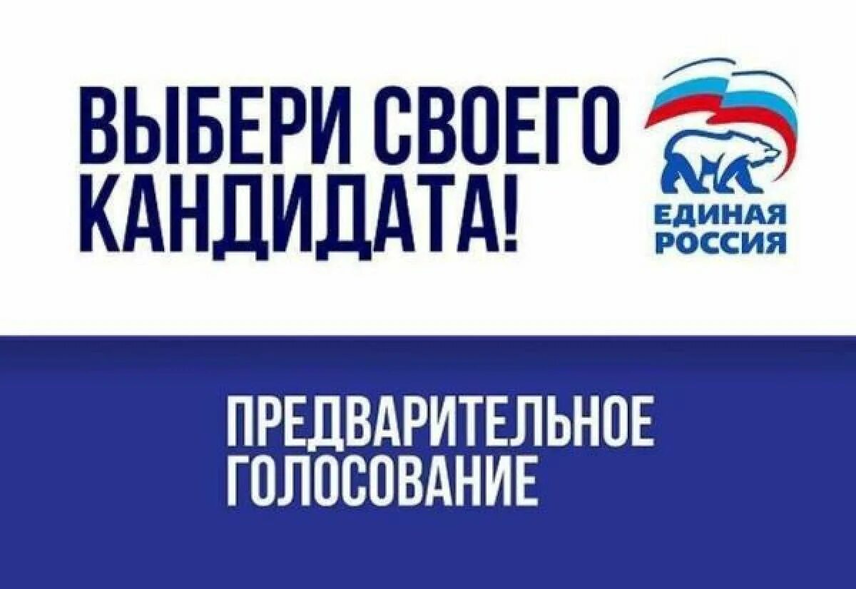 Предварительное голосование 2021. Ер голосования. Ер голосования. Ер голосования. Ер голосования.