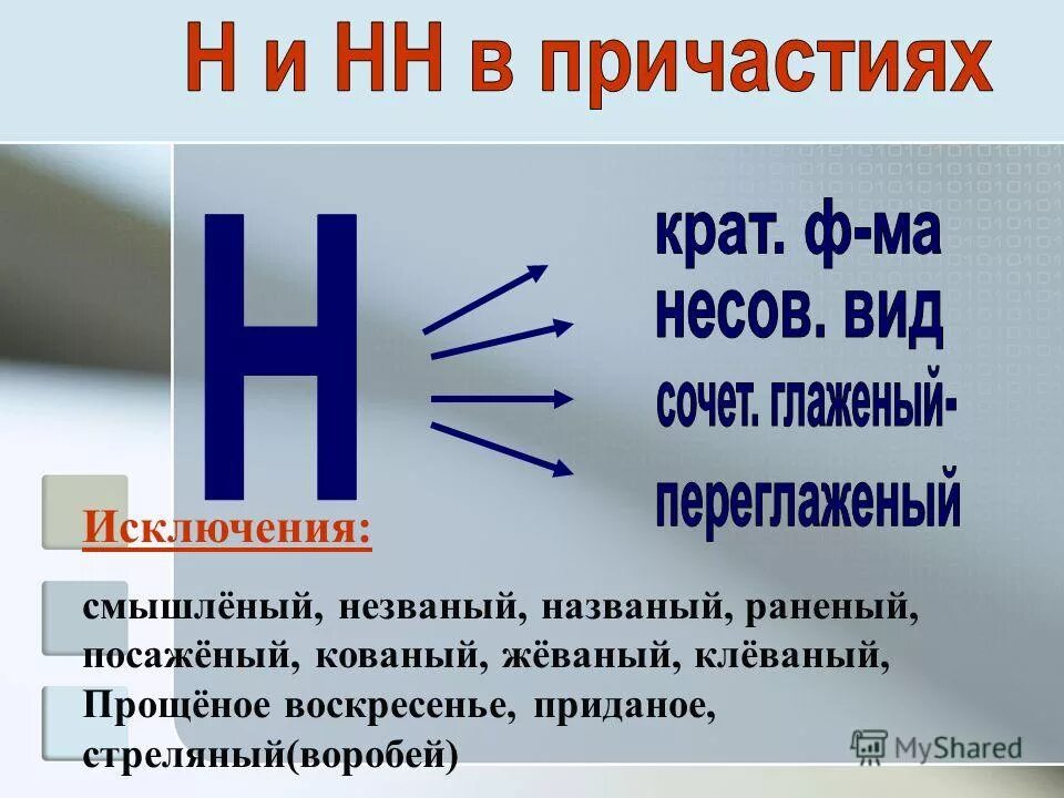 Названный почему 1 н