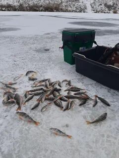 Погода в борме
