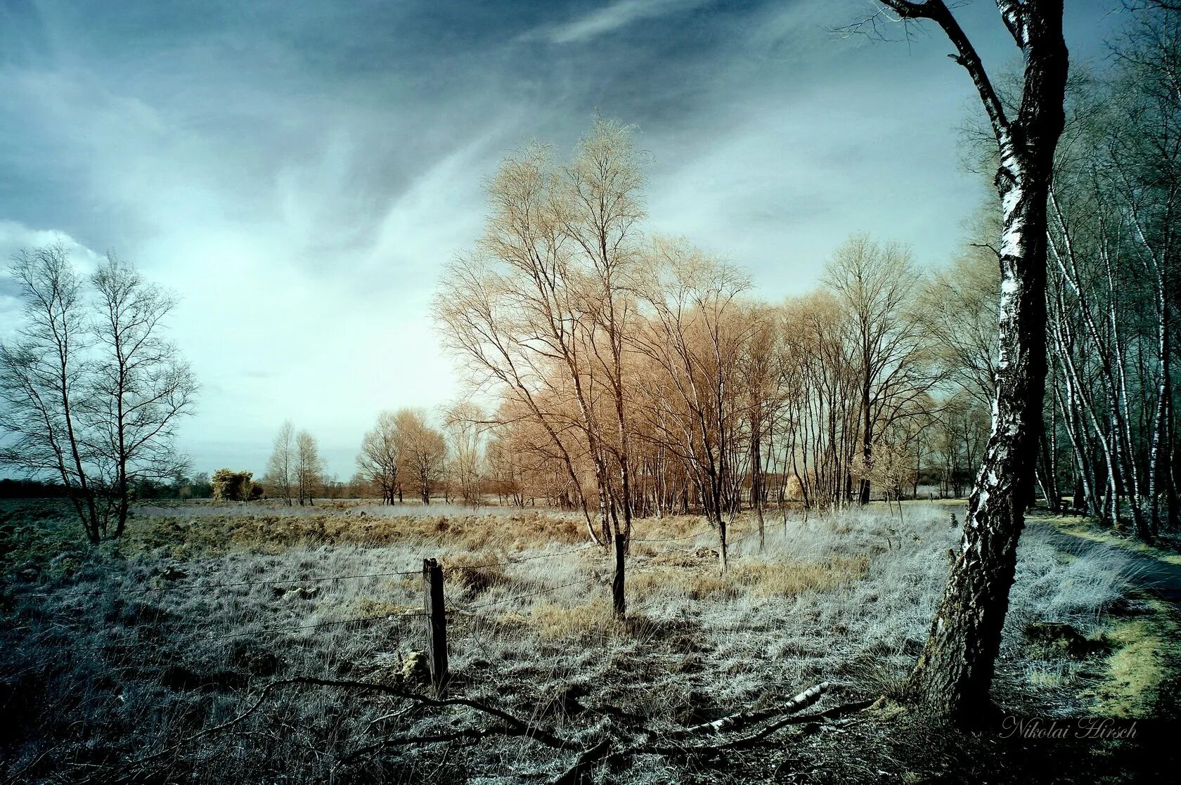 Вельц березы на берегу реки. Стоял ноябрь у двора. Довольно скучная пора стоял ноябрь уж у двора. Ноябрь на дворе. Ноябрь уж на дворе стихи.