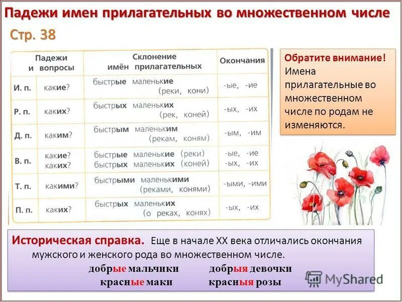 Падежи в единственном числе. Окончания прилагательных во множественном числе.