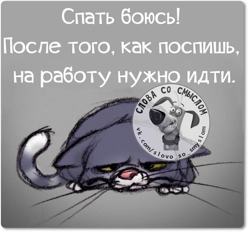 Надо спать завтра на работу. Смешные открытки завтра идти на работу. Я спать завтра на работу. Надо идти на работу приколы. Рубит спать