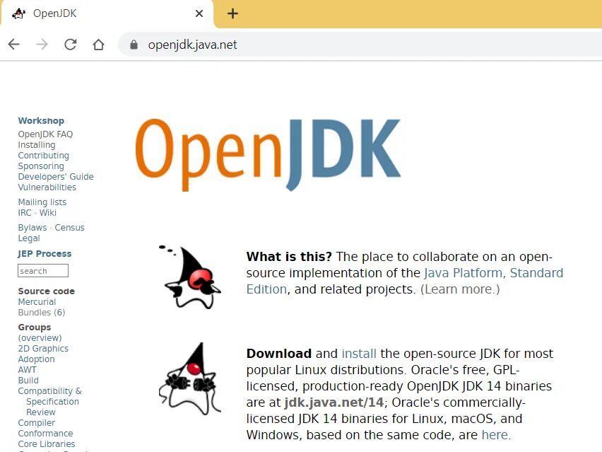 OPENJDK. OPENJDK java версии. OPENJDK platform binary. Дюк open JDK.