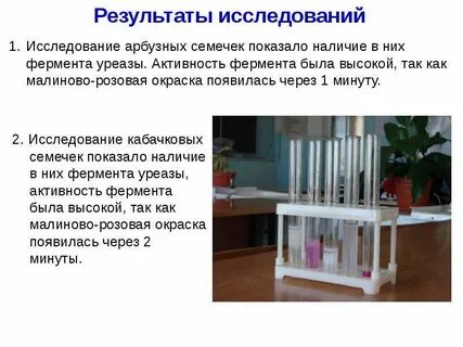 Лабораторная работа 1 каталитическая активность ферментов
