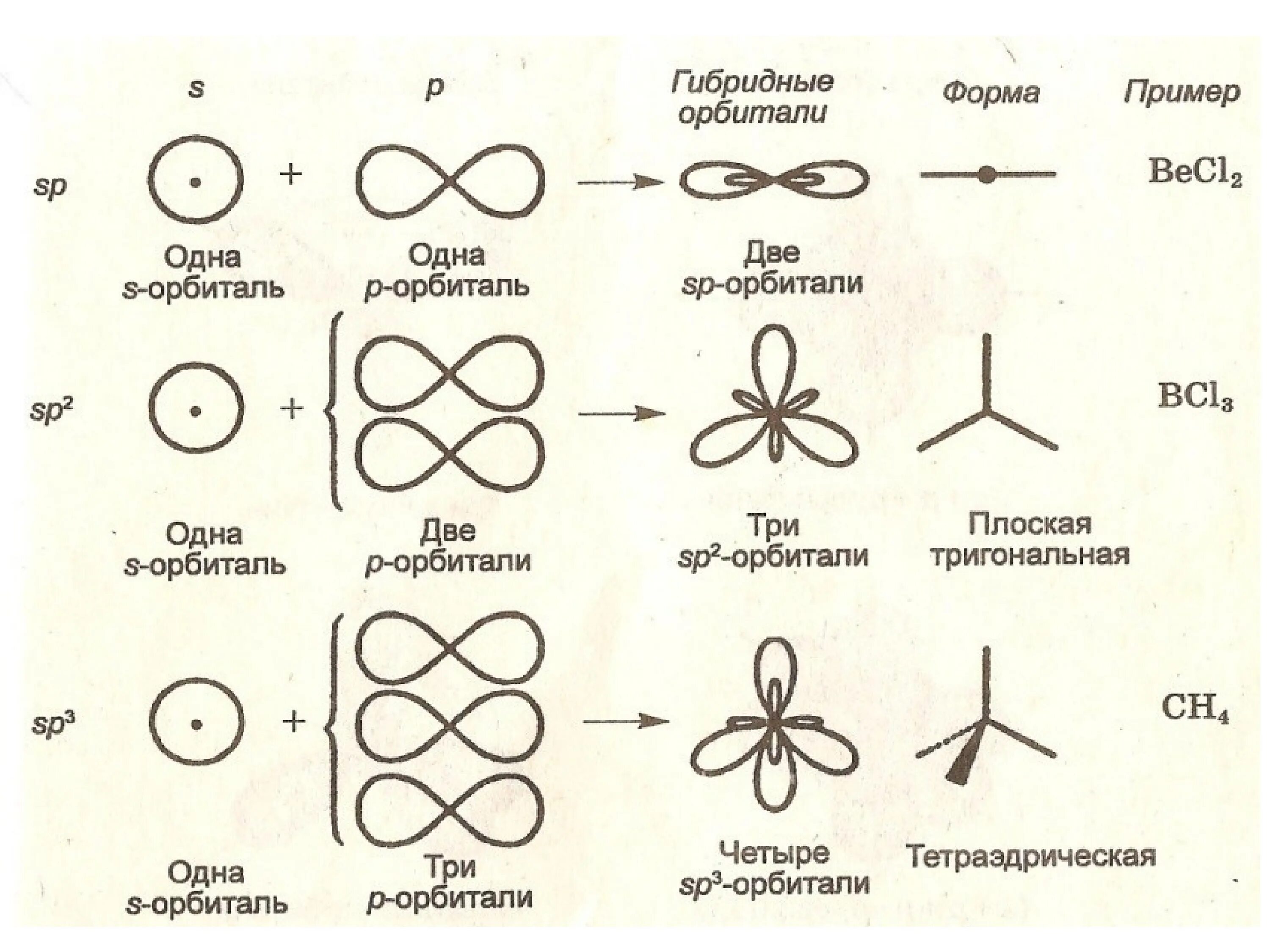 Какой вид гибридизации. Типы гибридизации схема. Гибридизация орбиталей в органической химии. SP гибридизация атомных орбиталей. Типы гибридизации электронных орбиталей.