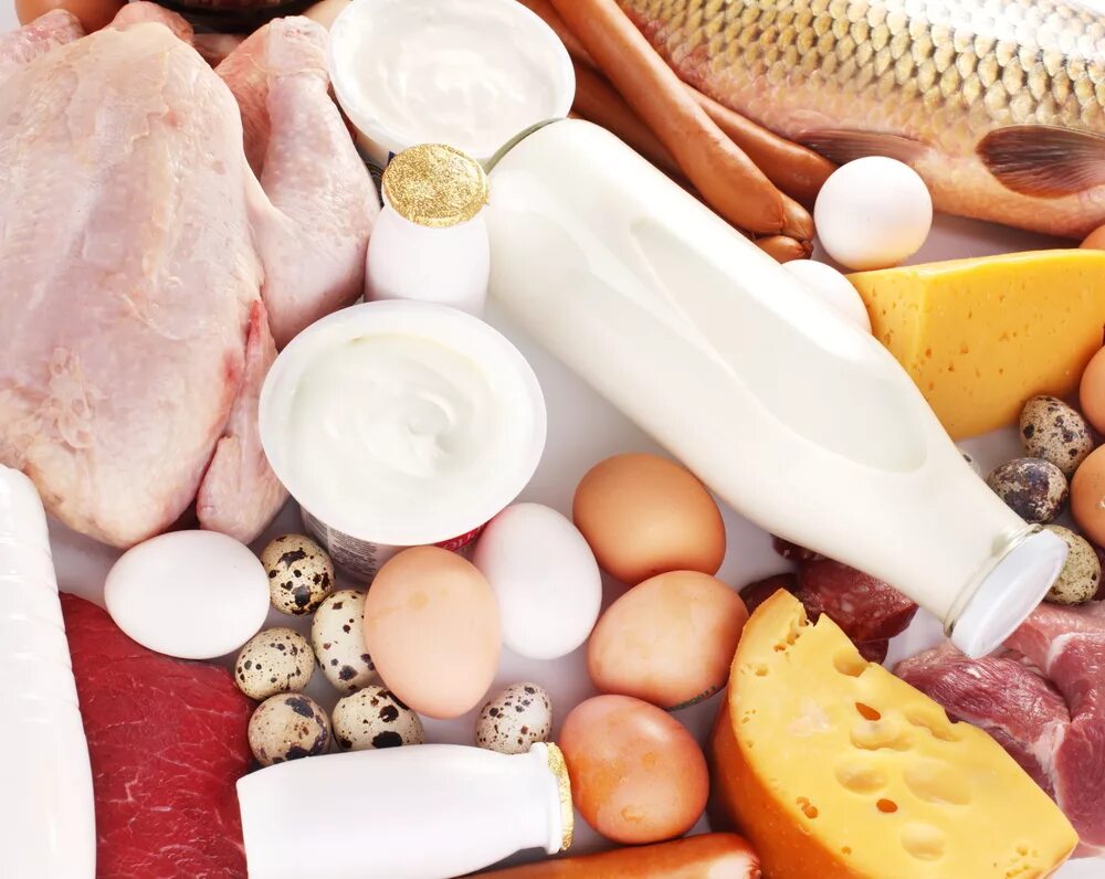 Использование животной продукции