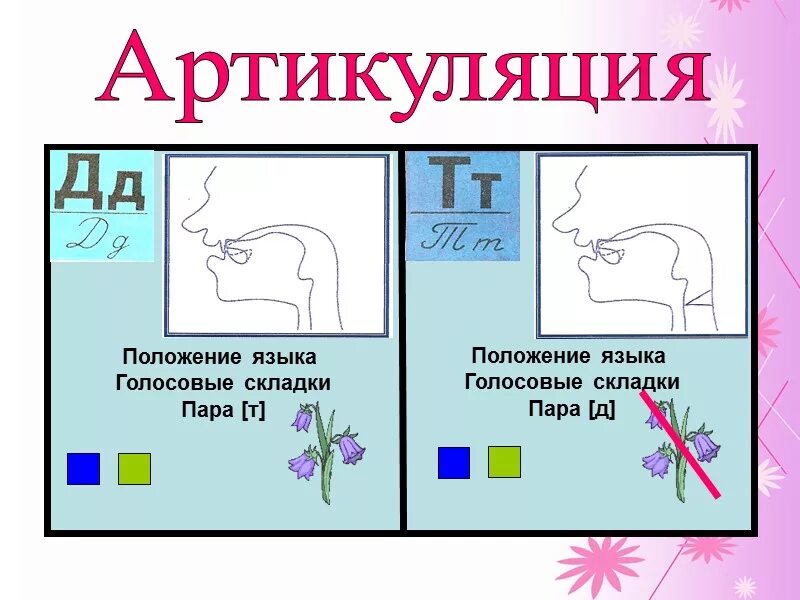 Звук д произношение. Правильная артикуляция звука д. •Уточнение артикуляции звуков [д] - [т].. Артикуляция звука т и д. Правильная артикуляция звука т.