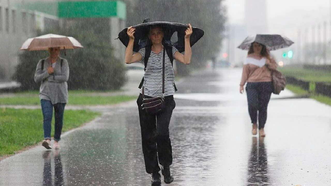 Short rain. Дождливое лето в городе. Ливень летом в городе. Ливень в городе. Дождь летом в городе.