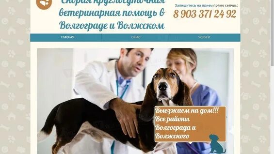 Ветволга волжский зеленый. Академ вет ветклиника на науки. Круглосуточная ветеринарная волжский. Вет юнион ветеринарная. Круглосуточная ветеринарная волжский.