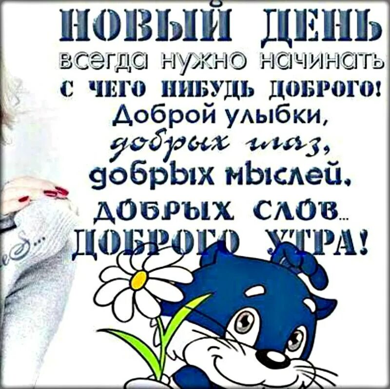 Хорошие слова утром. С добрым утром с новым днём улыбаемся живем. С добрым утром улыбка. Пусть день начинается с улыбки. Доброе утро и начавшийся день.