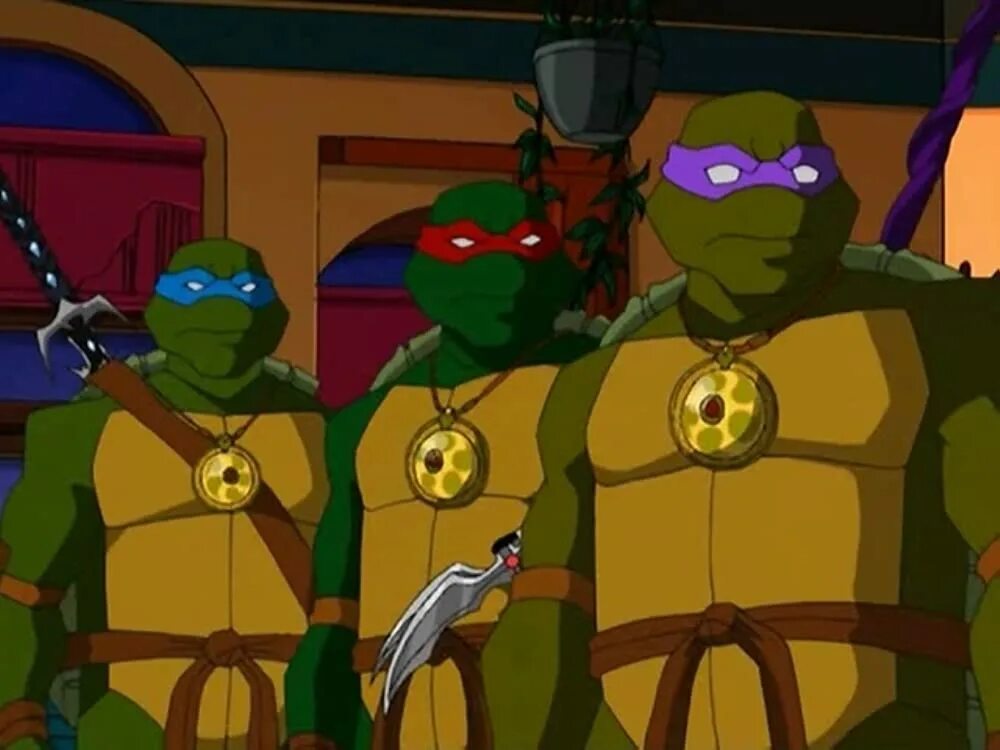 Мутанты черепашки ниндзя 2003 2009. TMNT 2003 5 Season. Черепашки ниндзя мультик 2009. TMNT 2003 5 сезон. Teenage Mutant Ninja Turtles 2003 4 сезон.