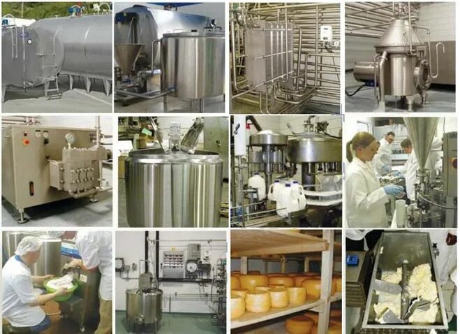 Производства обработки хранения и. Оборудование для молочного производства. Переработка молока. Оборудование для молочной пищевой продукции. Сырье для молочной продукции.