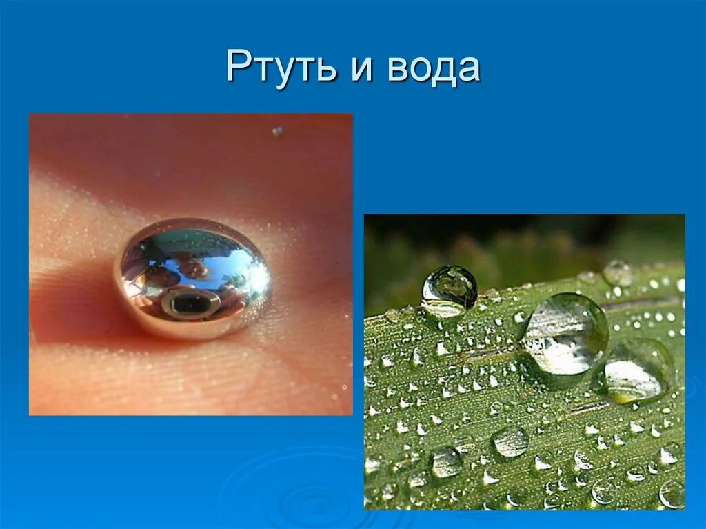 Ртуть будет плавать в воде. Смачивание воды. Смачиваемость водой. Ртуть в воде. Смачиваемость в природе.