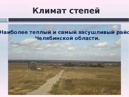 Средняя температура в степи зимой и летом