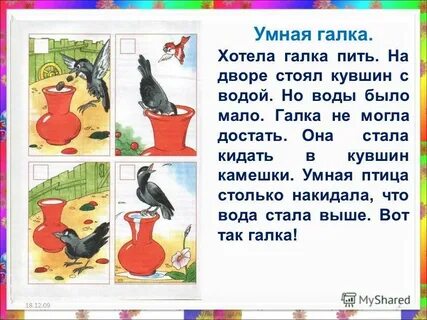 Текст галка 1 класс
