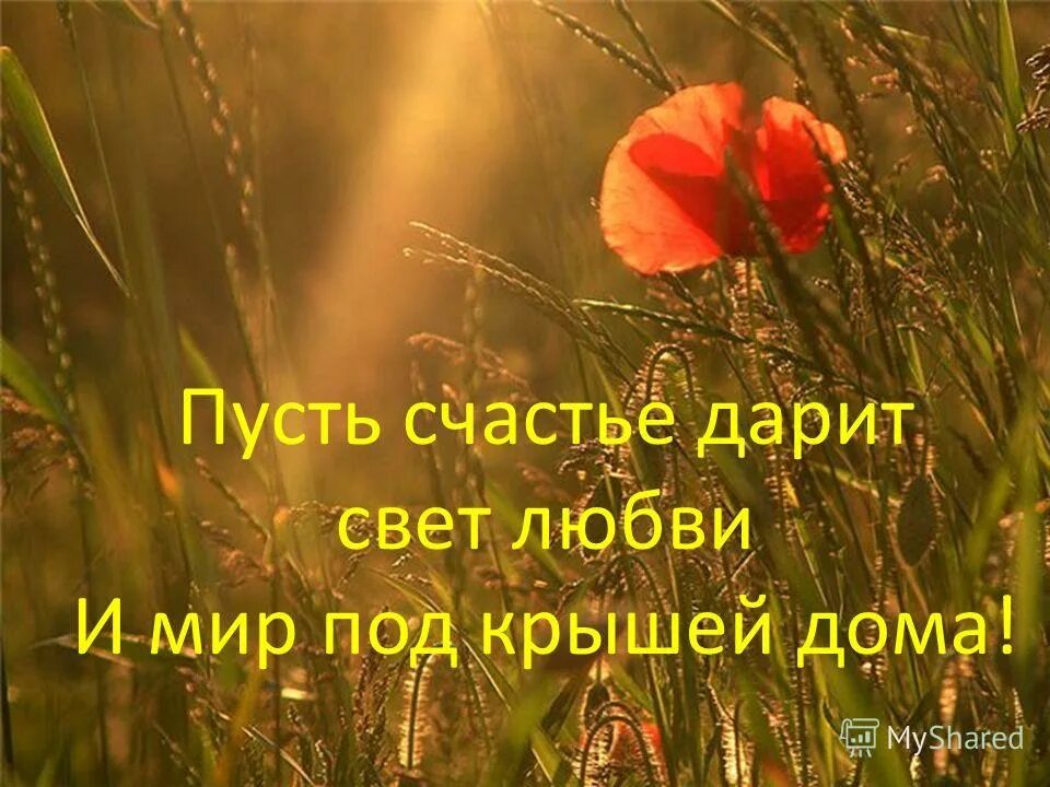 Пусть мечты сбываются. Пожелание успеха в конкурсе. Нужно идти к цели. Поздравление на все случаи жизни. Рыбка исполнения желаний.