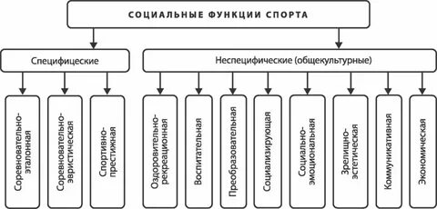 Общий спорт это