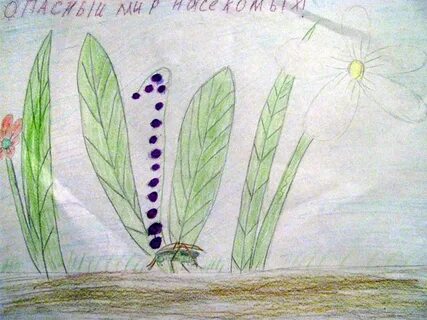 Нарисовать глазами кузнечика