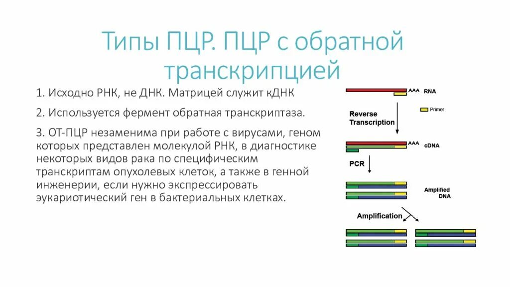 Схема ДНК-полимеразной реакции. ПЦР тест метод РНК. Этапы ПЦР В генетике. ПЦР Тип реакции.