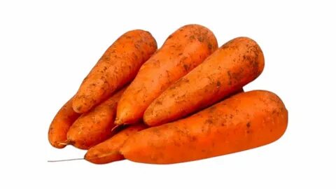 Жапон қоғамдық моншасы