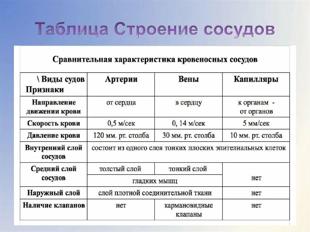 Особенности строения артерий вен. Заполните таблицу. Строение кровеносных сосудов. Строение кровеносных сосудов таблица. Сосуды артерии вены капилляры таблица. Сравнительная характеристика артерий и вен.