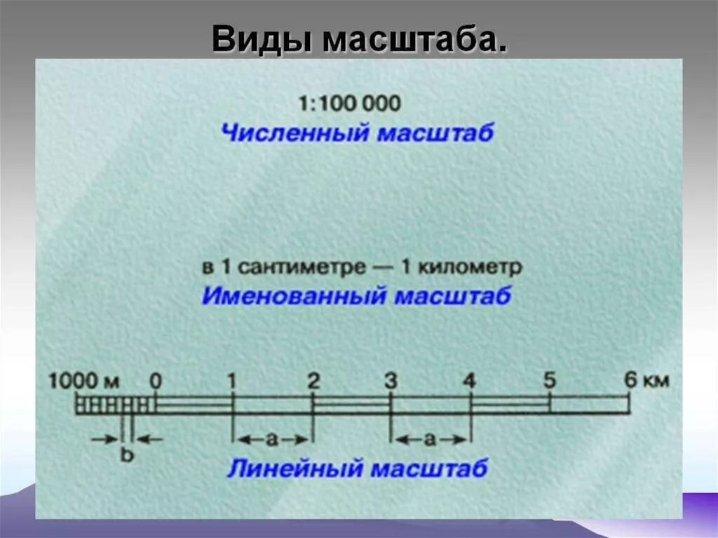 Виды масштабов линейный масштаб. Масштаб. виды масштаба. линейный масштаб. масштаб виды масштабов.