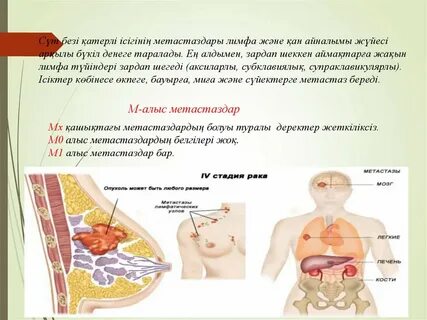 Жалаңаш модельдер мен танымал фотосуреттер