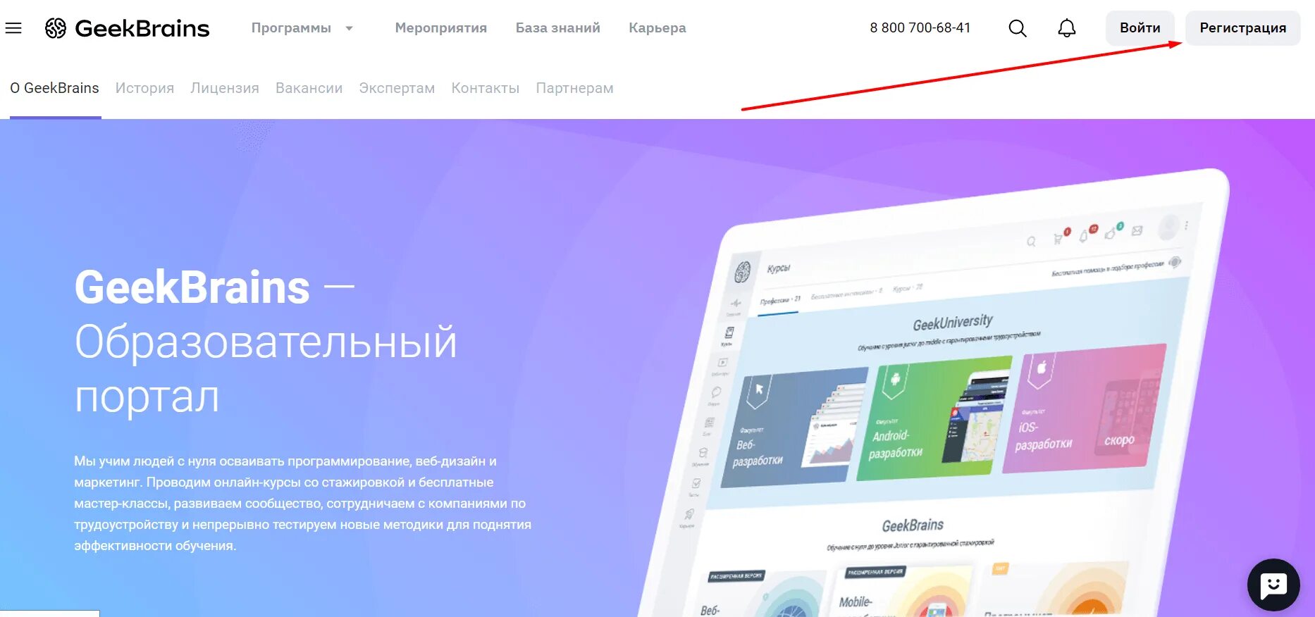 Гик брейнс