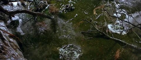 Девушки тони в болотах