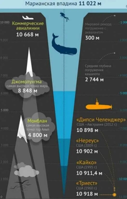 На сколько изучен мировой. Марианская впадина схема глубины. Глубина Марианской впадины в километрах. Глубина Марианской впадины в метрах. Марианская впадина глубина обитатели.