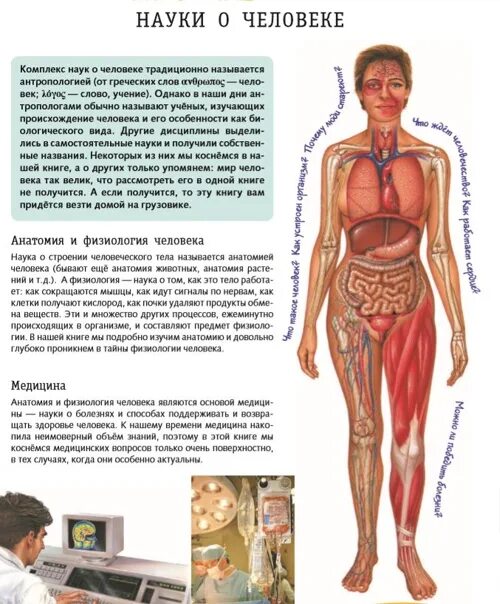Тело человека. Анатомия и физиология человека. Физиология тела человека. Тело человека. Анатомия и физиология.