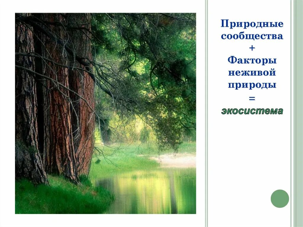 Тест природные сообщества 5. Понятие о природном сообществе. презентация понятие о природном сообществе. многообразие природных сообществ. природные сообщества 5 класс биология.