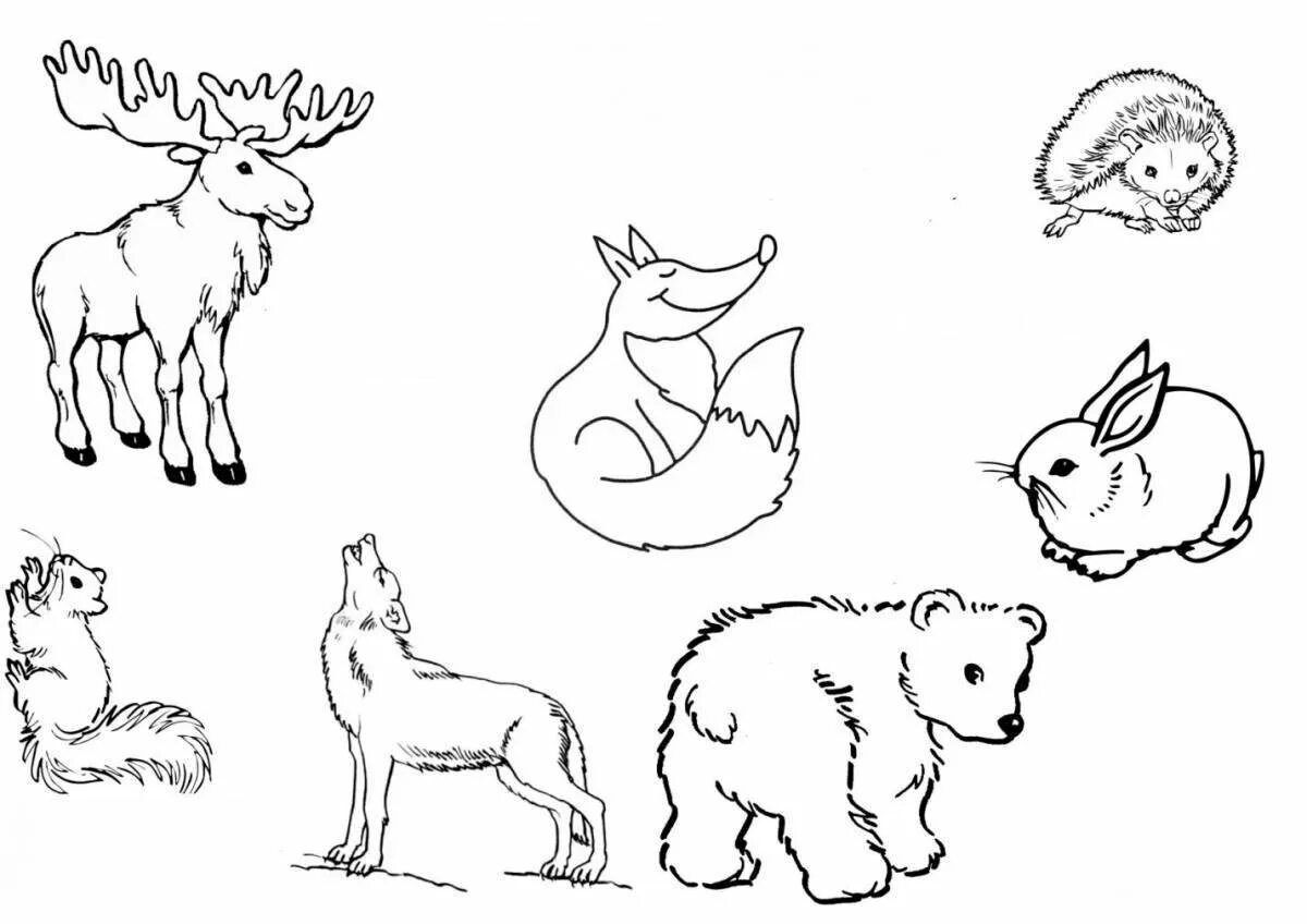 Раскраска группы животных. Раскраски животные для детей. Раскраска Лесные животные. Раскраски диких животных для детей. Дикие животные раскраска для детей.