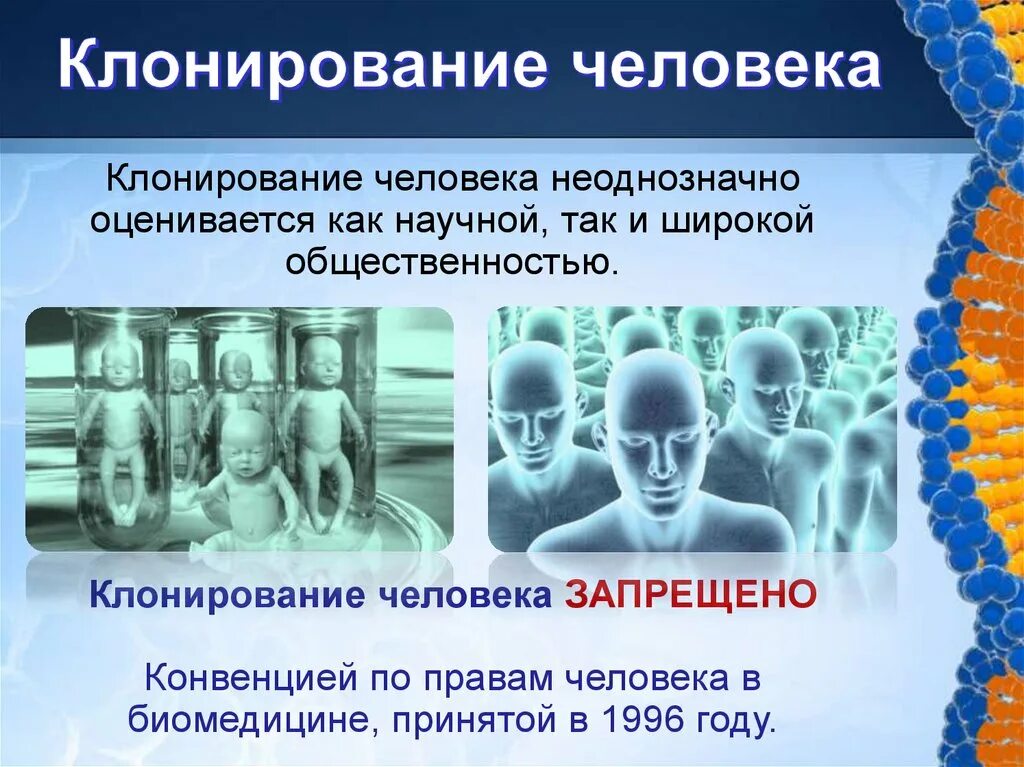Как определить клон. Клонирование. человеческое клонирование. клонирование презентация. клонирование личностей.