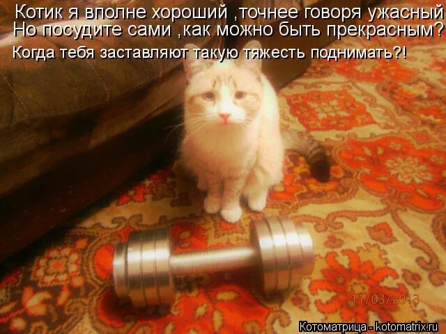 ты ненормальная мем. этот чистит валенки. вполне приятно. нормальный ненормальный мем. макс фрай цитаты о любви.