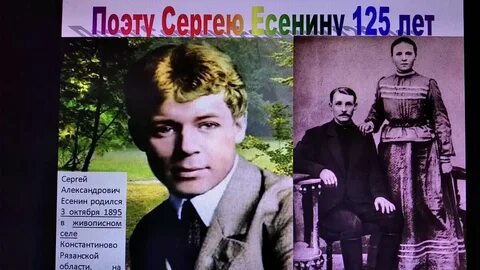 Камеры есенина 6