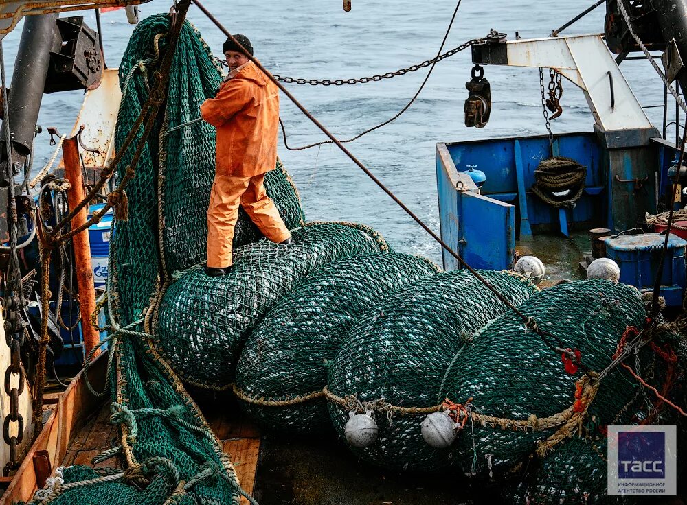 Моряк ловит рыбу. Рыбаки на корабле. Рыбацкий промысел. Рыболовные промыслы. Рыбак на сейнере.