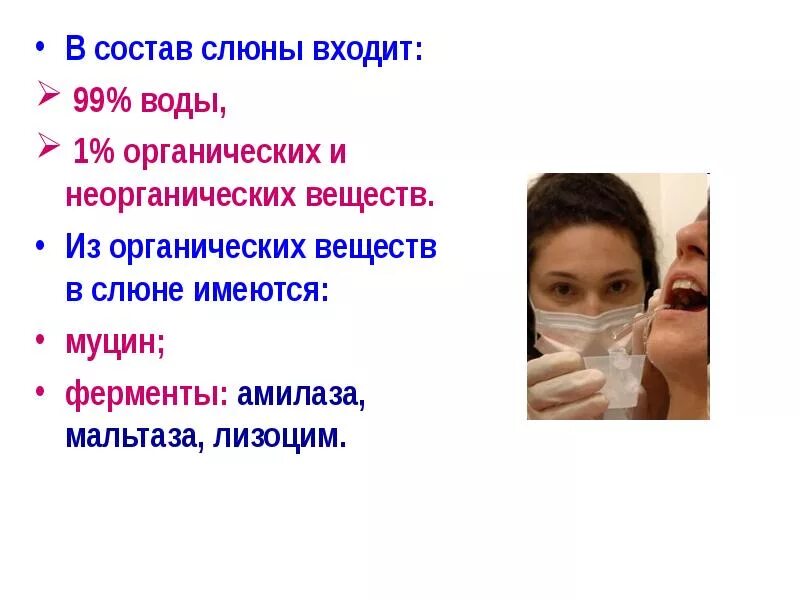 Что входит в состав слюны. Свойства слюны человека. Химический состав слюны. Органические вещества слюны.