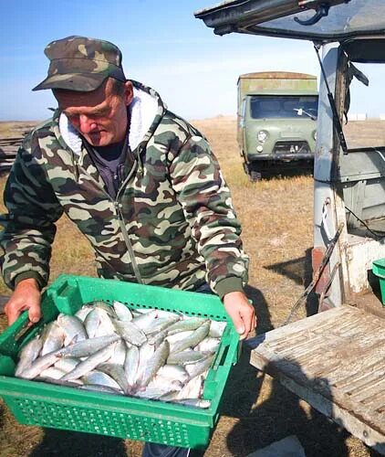 рыба чан. рыбы обитающие в новосибирской области. чаны, рыбалка озеро чаны. рыба в озере. рыбы обитающие в новосибирской области.