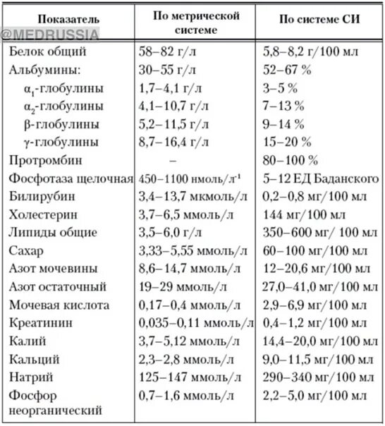 Нормальные показатели биохимии. Нормы биохимии крови у детей 10 лет таблица. Расшифровка биохимического анализа крови у детей 3 лет таблица. Биохимический анализ крови норма у детей 14 лет. Норма биохимического анализа крови у детей 6 лет.