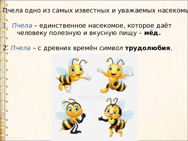 Пчелы 1 разбор. Предложение про пчелу. Сообщение о пчелах. Одна пчела немного. Одна пчела немного меду.