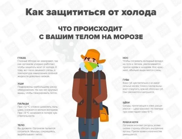 И холод в случае. Как защититься от холода. памятка чтоб не замерзнуть зимой. памятка как не замерзнуть на улице зимой. как уберечься от мороза.