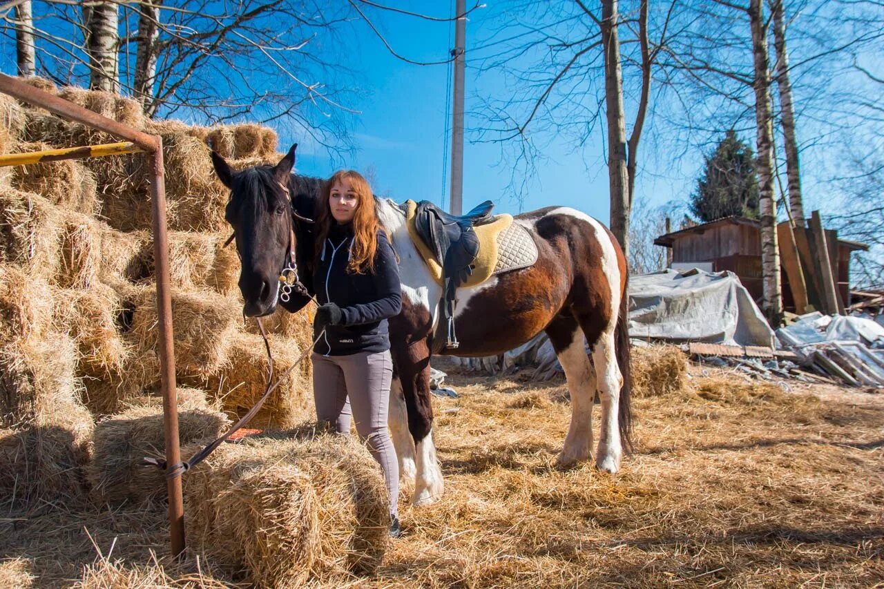 кск арена. санкт-петербург, крестовский остров, футбольная аллея, д. кск вознесенский ярославль. кск арена по щучьему. кск вента санкт петербург.