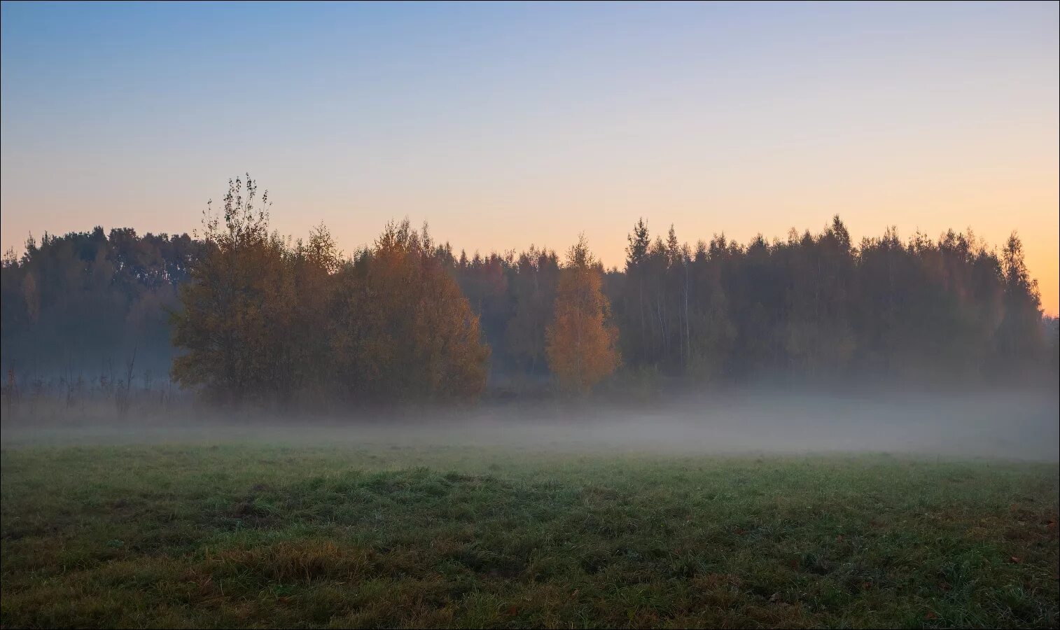 Пелена на поле. «Туманное утро в лесу» Орловский. Пейзажи туманные Рязанская область. Поле в тумане. Утренний туман в лесу.