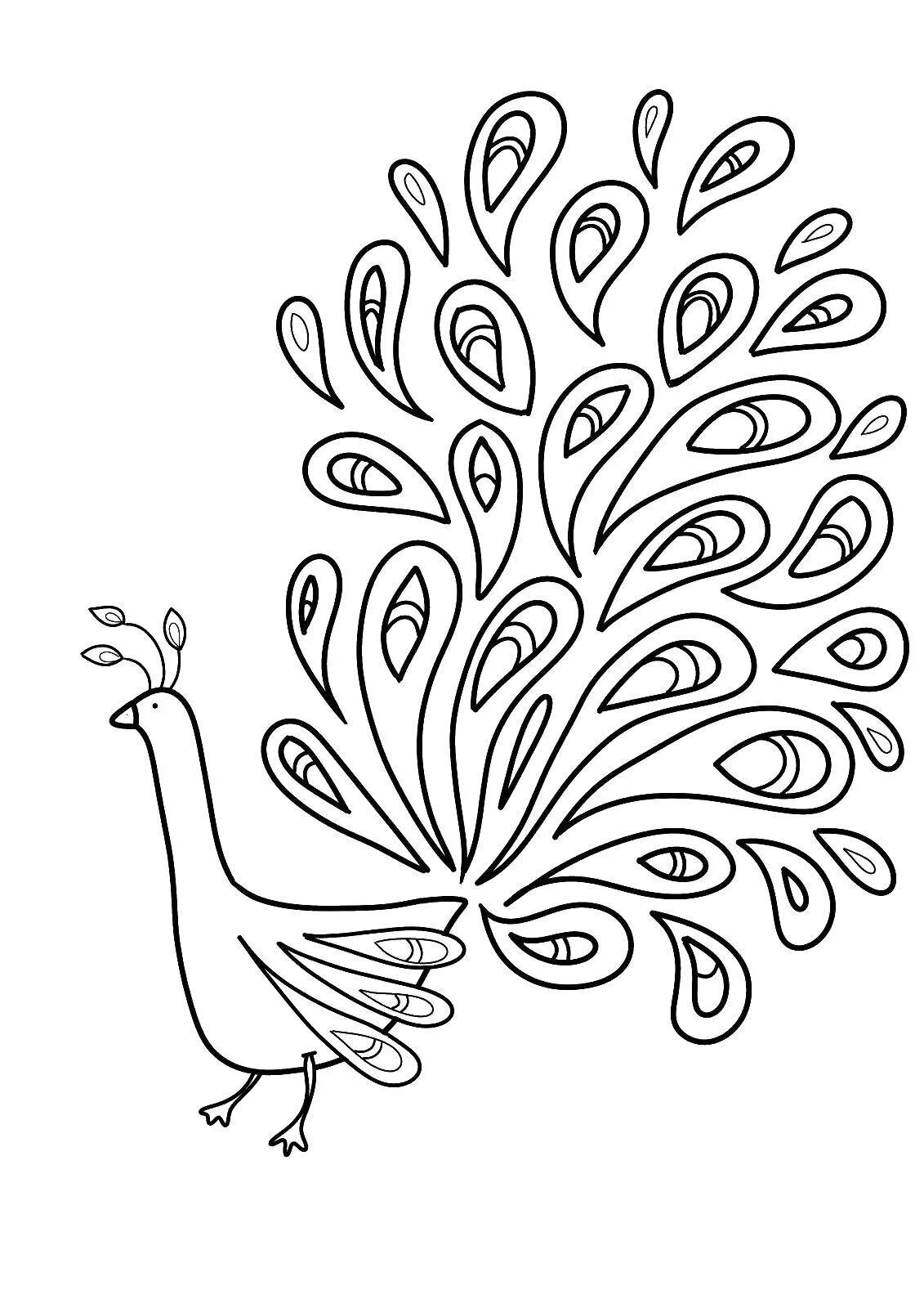 Шаблон сказочной птицы. Павлин. Раскраска. Павлин раскраска для детей. Сказочная птица раскраска. Сказочная птица раскраска для детей.