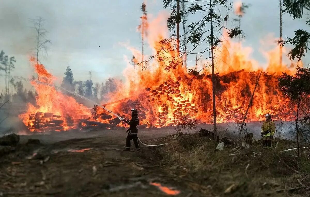 Лесные пожары в Сибири 2019. Лесные пожары в Сибири в июле – сентябре 2019 года. Россия Сибирь 2019 пожар. Лесные пожары на территории Сибири, Россия (2019).