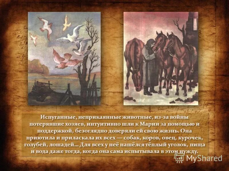 Матерь человеческая книга. Книга Закруткина Матерь человеческая. Иллюстрации к повести Виталия Закруткина Матерь человеческая. Закруткин матерь человеческая содержание