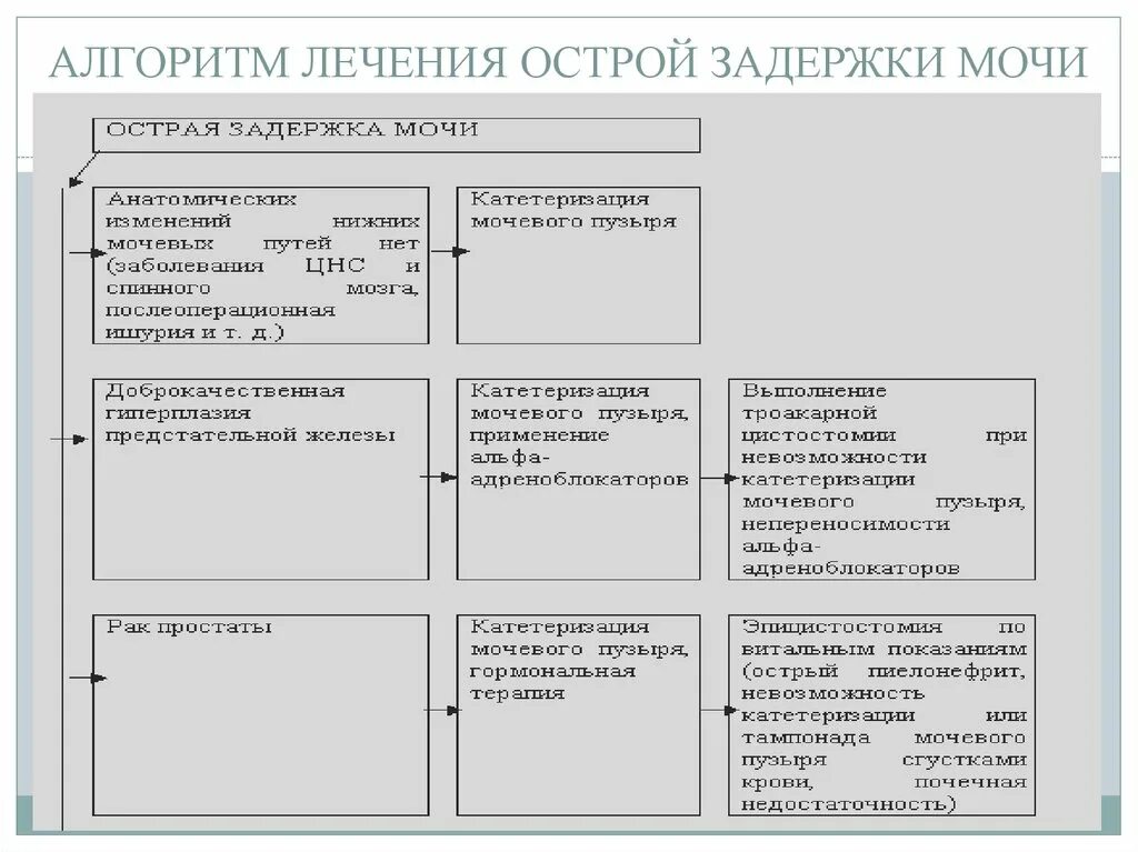 Помощь при острой задержке мочи алгоритм. Острая задержка мочи ПМП. Неотложная помощь при острой задержке мочи. Неотложная помощь при острой задержке мочи на догоспитальном этапе.