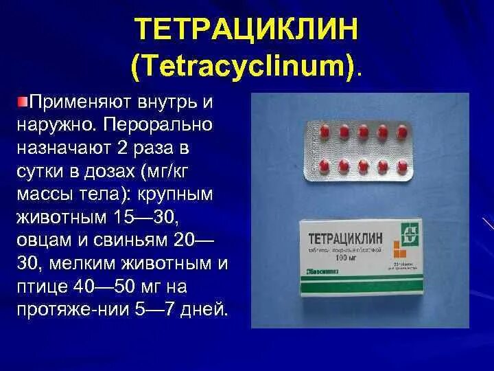 Тетрациклин таблетки сколько пить. Тетрациклин таблетки 200мг. Тетрациклин антибиотик дозировка. Тетрациклин 500 мг таблетки. Тетрациклин капсулы 100мг.