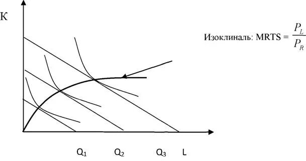 Производственные функции изоклиналь. Линия роста фирмы (изоклиналь). Изоклиналь это в экономике. Изоклиналь Микроэкономика. Линии роста производства